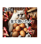 寿司・唐揚げ・焼き肉・デブ猫ミームで会話（個別スタンプ：10）