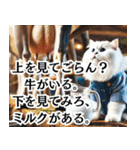 寿司・唐揚げ・焼き肉・デブ猫ミームで会話（個別スタンプ：11）