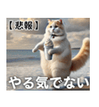 寿司・唐揚げ・焼き肉・デブ猫ミームで会話（個別スタンプ：22）