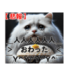 寿司・唐揚げ・焼き肉・デブ猫ミームで会話（個別スタンプ：25）