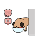 ひょこっと動物（個別スタンプ：7）