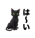 碧眼黒猫★いま何してる？スタンプ（個別スタンプ：3）