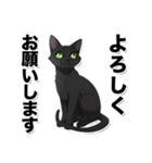 碧眼黒猫★いま何してる？スタンプ（個別スタンプ：11）