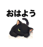 碧眼黒猫★いま何してる？スタンプ（個別スタンプ：13）