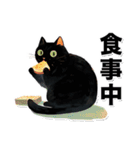 碧眼黒猫★いま何してる？スタンプ（個別スタンプ：17）