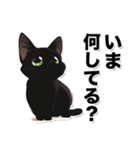 碧眼黒猫★いま何してる？スタンプ（個別スタンプ：18）