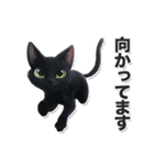 碧眼黒猫★いま何してる？スタンプ（個別スタンプ：31）