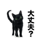 碧眼黒猫★いま何してる？スタンプ（個別スタンプ：32）