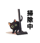 碧眼黒猫★いま何してる？スタンプ（個別スタンプ：37）