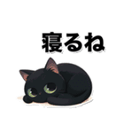 碧眼黒猫★いま何してる？スタンプ（個別スタンプ：40）