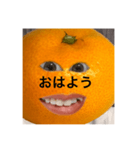 キムみかんちゃん（個別スタンプ：1）