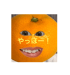 キムみかんちゃん（個別スタンプ：3）