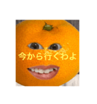 キムみかんちゃん（個別スタンプ：7）