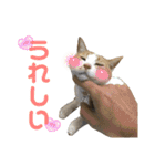スタンプみあちゃくら（個別スタンプ：13）