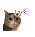 スタンプみあちゃくら（個別スタンプ：14）