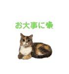 スタンプみあちゃくら（個別スタンプ：25）