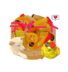 白柴犬ご飯（個別スタンプ：11）