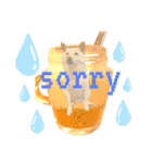 白柴犬ご飯（個別スタンプ：16）