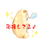 白柴犬ご飯（個別スタンプ：22）