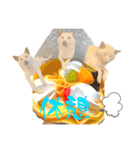 白柴犬ご飯（個別スタンプ：27）