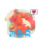 白柴犬ご飯（個別スタンプ：31）