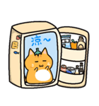 オレンジ猫かぼちゃとお母さんの夏の暮らし（個別スタンプ：6）