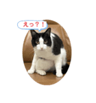 RIRI＆RON⑩（個別スタンプ：3）