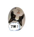 RIRI＆RON⑩（個別スタンプ：4）