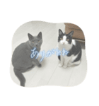 RIRI＆RON⑩（個別スタンプ：7）