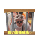 オルちゅ〜ば〜 公式スタンプ（個別スタンプ：24）