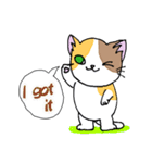 HOUSENKA CAT’S ROOM illustration 3（個別スタンプ：13）