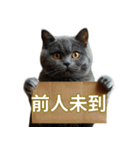 猫と四字熟語★vol.01（個別スタンプ：36）