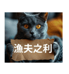 猫と四字熟語★vol.01（個別スタンプ：37）