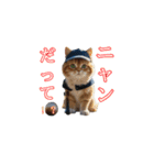 野球している動物（個別スタンプ：25）