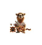 野球している動物（個別スタンプ：29）
