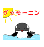 オルカン（個別スタンプ：2）