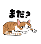 猫の大吉スタンプ（個別スタンプ：15）