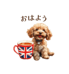 トイプードルの子犬 ロンドンに行く（個別スタンプ：1）