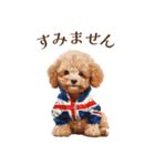 トイプードルの子犬 ロンドンに行く（個別スタンプ：18）