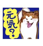 秋田犬ジョー君のスタンプ（個別スタンプ：2）