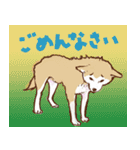 秋田犬ジョー君のスタンプ（個別スタンプ：12）