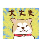 秋田犬ジョー君のスタンプ（個別スタンプ：13）