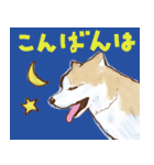 秋田犬ジョー君のスタンプ（個別スタンプ：23）