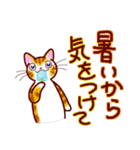 和風猫＜夏です ＞（個別スタンプ：10）