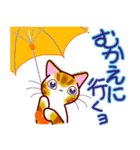 和風猫＜夏です ＞（個別スタンプ：15）