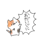 ねこのふきだし敬語スタンプ（個別スタンプ：5）