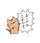 ねこのふきだし敬語スタンプ（個別スタンプ：16）