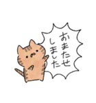 ねこのふきだし敬語スタンプ（個別スタンプ：17）