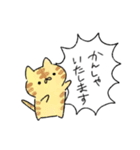 ねこのふきだし敬語スタンプ（個別スタンプ：34）