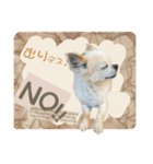 やんちゃ犬のお返事色々バージョン（個別スタンプ：17）